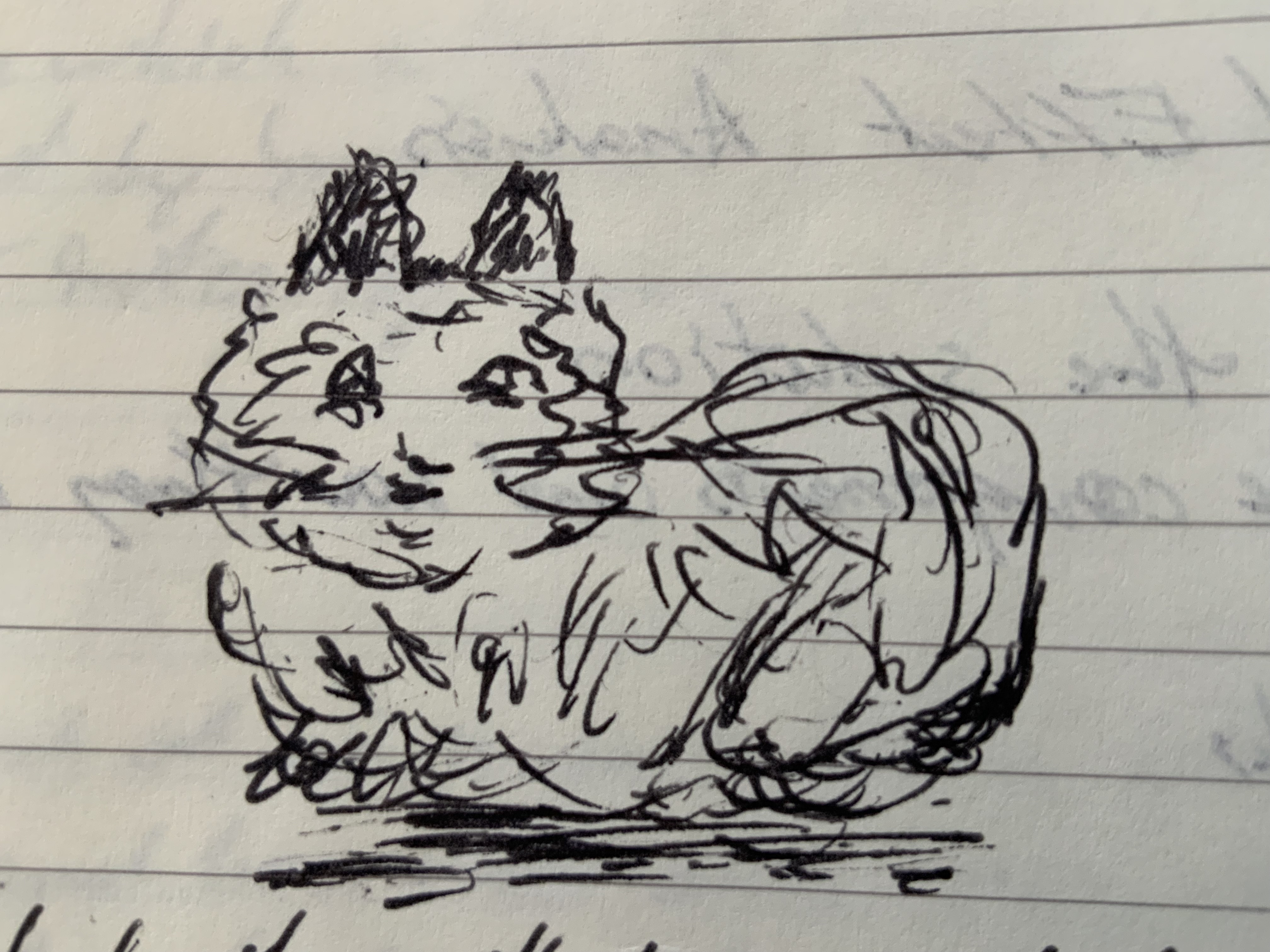 I wrote this by hand before typing it up, and drew a cat. This is the cat.
